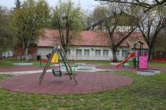 Mini IMG 8974